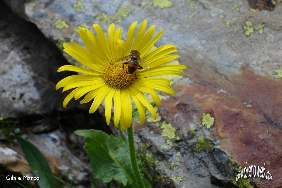 09 La natura incanta.jpg
